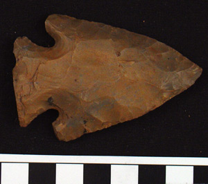 Thumbnail of Stone Tool: Projectile Point (1998.19.3278)