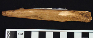 Thumbnail of Awl Fragment (1998.19.3280)