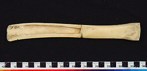 Thumbnail of Chisel, Bark Remover (1998.19.3350B)