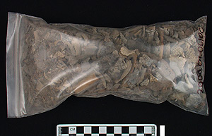 Thumbnail of Contents of Vessel: Biospecimen: Bag of Bone Fragments (2000.01.0610C)