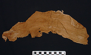 Thumbnail of Textile (2000.01.0808A)