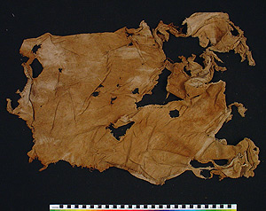 Thumbnail of Textile (2000.01.0808E)