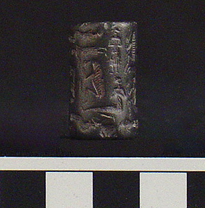 Thumbnail of Cappadocian Cylinder Seal (1900.53.0120A)