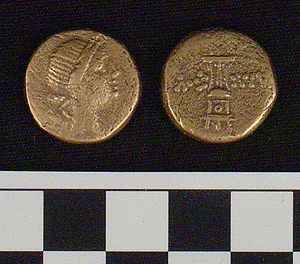 Thumbnail of Coin: Mithridates VI (1900.63.0409)