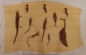 Thumbnail of Bark Cloth Painting (2000.01.0835)