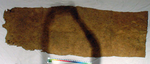 Thumbnail of Bark Cloth (1971.08.0008)