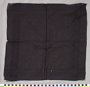 Thumbnail of Mourning Handkerchief (1998.06.0289)