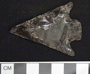 Thumbnail of Stone Tool: Projectile Point (1998.19.2593)
