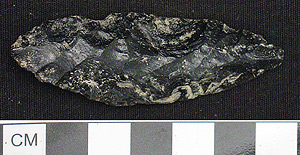 Thumbnail of Stone Tool: Projectile Point (1998.19.2594)