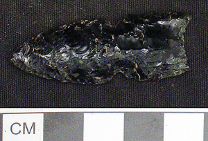 Thumbnail of Stone Tool:  Projectile Point (1998.19.2595)