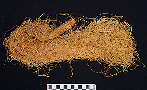 Thumbnail of Raw Material: Fiber Bundle (2006.06.0015)