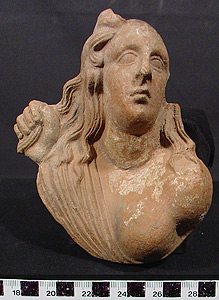Thumbnail of Female Bust (1900.11.0022)