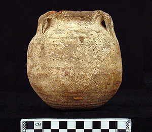 Thumbnail of Jar (1900.12.0017)
