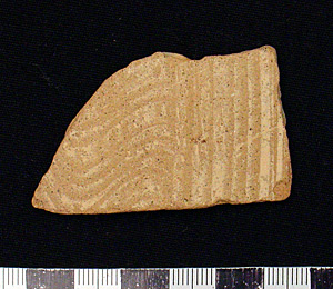 Thumbnail of Body Sherd (1900.46.0008)