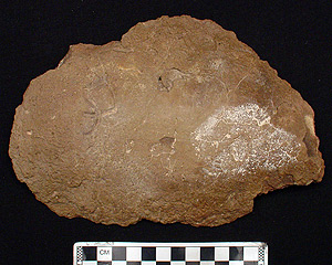 Thumbnail of Body Sherd (1913.03.0005)