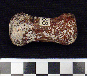 Thumbnail of Loom Weight Fragment (1915.03.0075A)