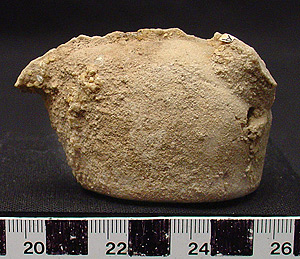 Thumbnail of Figurine Fragment? (1998.19.3156)