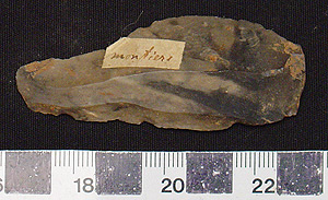 Thumbnail of Stone Tool: Implement, Worked Stone (1998.19.4064)