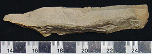 Thumbnail of Stone Tool: Flake (1998.19.4072)