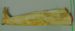 Thumbnail of Woman