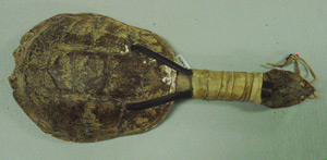 Thumbnail of Common Snapping Turtle Rattle (1998.19.4294)