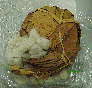 Thumbnail of Raw Material: Washme Mishe, Cotton (2000.01.0996)