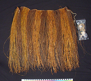 Thumbnail of Skirt (2004.17.0076)