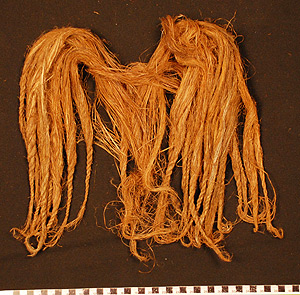 Thumbnail of Raw Material: Sago Fiber Bundle (2004.17.0119)