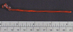 Thumbnail of Okimono: Hotei (Budai, Pudai), God of Happiness and Laughter, Cane (2006.12.0011B)