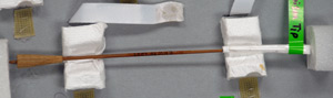 Thumbnail of Blowgun Dart (2007.03.0011Q)