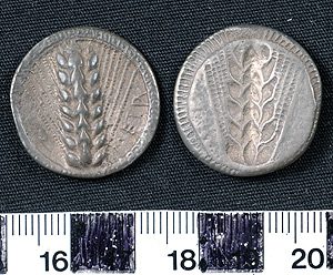 Thumbnail of Coin: Stater, Metapontum (1900.63.0003)