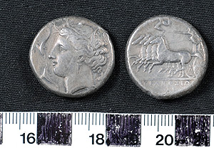 Thumbnail of Coin: Tetradrachm, Syracuse (1900.63.0007)