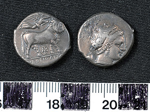 Thumbnail of Coin: Didrachm, Neapolis (1900.63.0009)