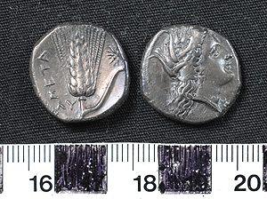 Thumbnail of Coin: Stater, Metapontum (1900.63.0027)