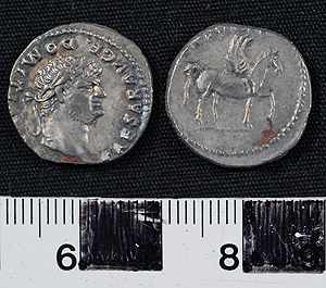 Thumbnail of Coin: Denarius of Domitian (1900.63.0166)