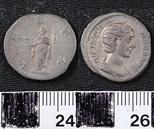 Thumbnail of Coin: Denarius of Julia Mamaea (1900.63.0350)