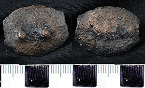 Thumbnail of Coin: Aes Grave Sextans (1900.63.1512)
