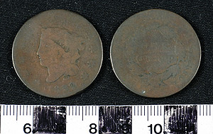 Thumbnail of Coin: United States 1 Cent (1900.85.0005)