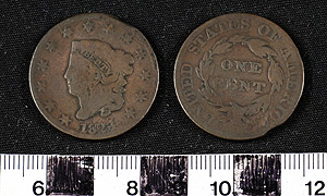 Thumbnail of Coin: United States 1 Cent (1900.85.0007)