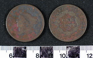 Thumbnail of Coin: United States 1 Cent (1900.85.0008B)