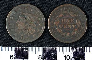Thumbnail of Coin: United States: 1 cent (1900.85.0015)