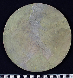 Thumbnail of Plaster Cast of Discus ()