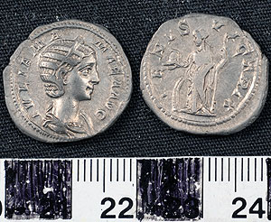 Thumbnail of Coin: Denarius of Julia Mamaea (1919.63.0066)