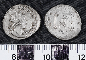 Thumbnail of Coin: Antoninianus of Gallienus (1919.63.0069)