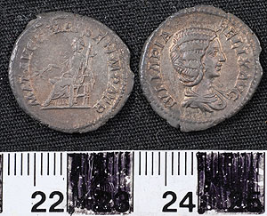 Thumbnail of Coin: Denarius of Julia Domna (1919.63.0070)