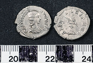 Thumbnail of Coin: Denarius of Plautilla (1919.63.0073)