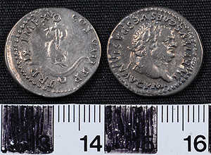 Thumbnail of Coin: Denarius of  Titus (1919.63.0153)