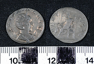 Thumbnail of Coin: Denarius of Salonina (1919.63.0190)