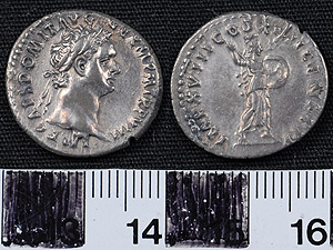 Thumbnail of Coin: Denarius of Domitian (1919.63.0208)