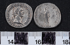 Thumbnail of Coin: Denarius of Domitian (1919.63.0220)